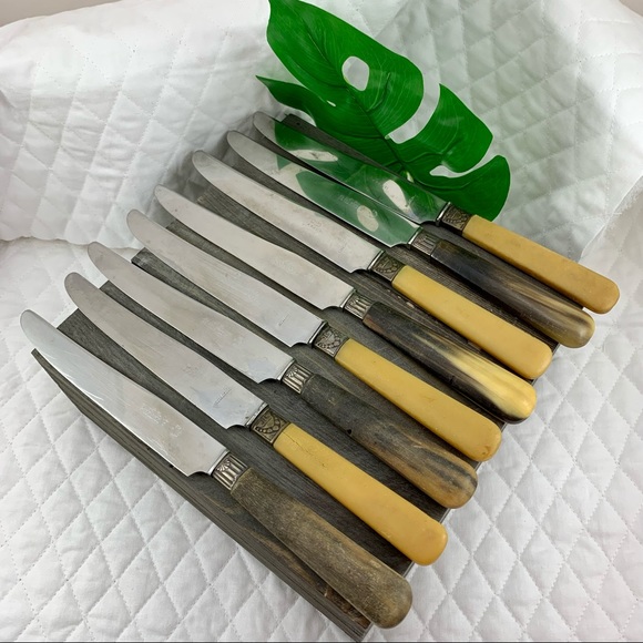 VINTAGE BUTTERKNIFE SET W/CASE BONE LIKE HANDLES - Picture 10 of 11